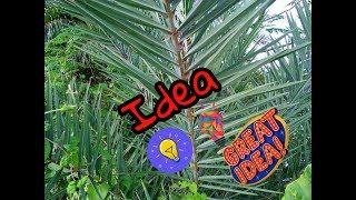 Pin Wheel with Date leaf -Idea With Date Leaf -By Life Hacks 360