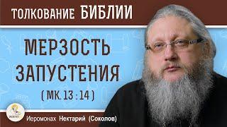 МЕРЗОСТЬ ЗАПУСТЕНИЯ (Мк.13:14). Иеромонах Нектарий (Соколов)