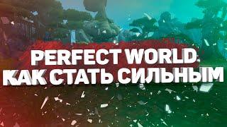 КАК ПОДНЯТЬ ПЛАНКУ АТАКИ В PERFECT WORLD? 13 ЛУЧШИХ СПОСОБОВ