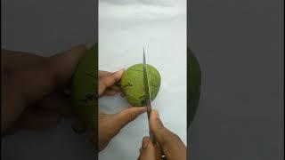 bismillah bismillah#shorts #viral #trending