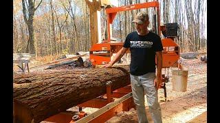 Hemlock on the Sawmill