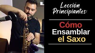 Lección para Principiante - Como Armar/Ensamblar un Saxo Alto | Aaron Trincado Music