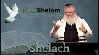 Shelach: Send for Yourself | Erev Shabbat 2025