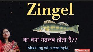 zingel meaning l meaning of zingel l vocabulary