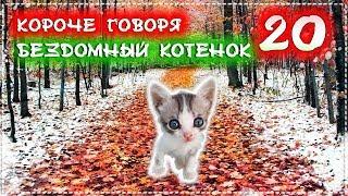 КОРОЧЕ ГОВОРЯ, Я БЕЗДОМНЫЙ КОТЕНОК Лайки 20 [От первого лица] История одной жизни