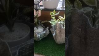 DIY Napkin Planter | quick and easy garden decor| #gardendecor #cementideas #napkinideas#planters