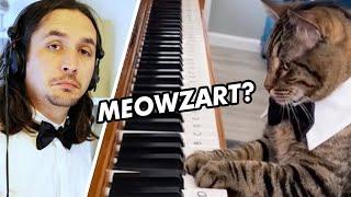 The Kiffness x Mozart Cat - Piano Playing Cat (Remix)