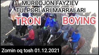 URGUTLIK MURODJON FAYZIEV TULPORLARI MARRALARI,#ZOMIN OQ TOSH 01.12.2021