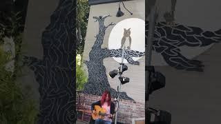 Alex Aguilera & his acoustic guitar. SUBSCRIBE to “Jbgood Channel." Click Notification Bell icon.