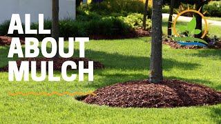 EVERYTHING MULCH | Types and How to Choose