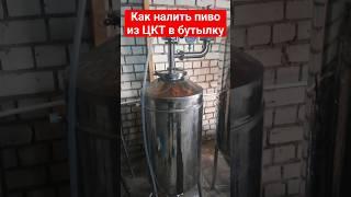 Как просто разлить  пиво из ЦКТ в бутылку #пиво #пивоварение #цкт #топ #просто