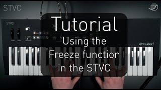 Focus on Waldorf STVC: Using the Freeze Function