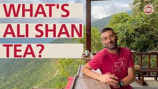 What is Alishan Tea?