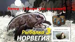 Уха Плотва Хопер 3 бочки за сутки / РР3 [ Русская рыбалка 3]