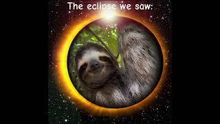 A Sloth Eclipse!