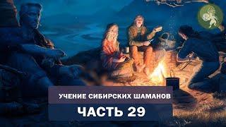 Аудиокнига "Учение сибирских шаманов". Часть 29. Как найти свое призвание и обрести счастье?