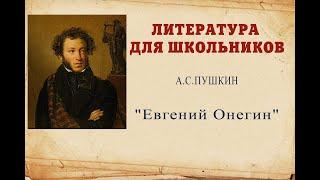 Литература для школьников А.С.ПУШКИН "Евгений Онегин"