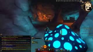 Neverwinter online | m16 | о дд танке и многом другом