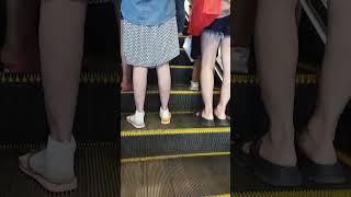 the helping grooves with this little cutie #staircases #escalator #viral #shorts