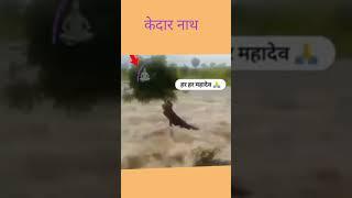 क्यों देखते ही तुझे #shortsfeed #ytshort #viral #shortsfeed #trendingvedio #youtubeshorts