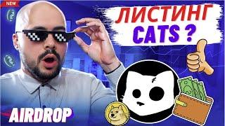 Листинг Cats. Смотрим цену, отвечаю на комментарии. Дмитрий Баков Live