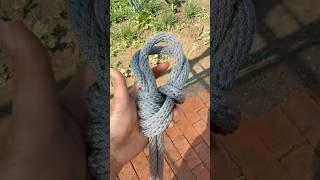 Learn This Versatile Knot in Seconds – Strong and Reliable #knot #technique #knowledge