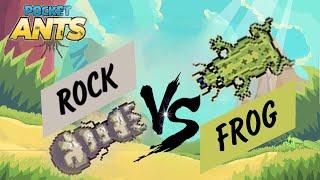 Pocket Ants l Skin fights | Stone skin vs frog skin