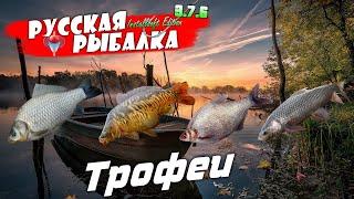 Русская Рыбалка Installsoft Edition 3 7 6 Трофеи #21 Карась серебряный,Карп зеркальный,Лещ восточнос