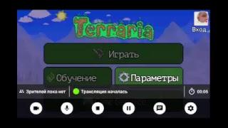 Стрим игры "Terraria".