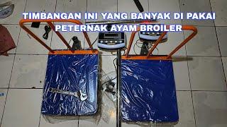 REKOMENDASI TIMBANGAN DIGITAL UNTUK KANDANG AYAM BROILER