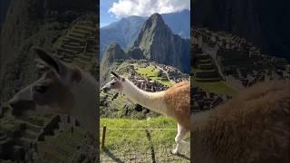 Inca Trail | 1 day to Machu Picchu | Chachabamba - Wiñay  Wayna - Sun Gate | #peru