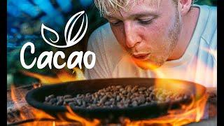 Making Natural Cocoa Powder - Cuyabeno Community