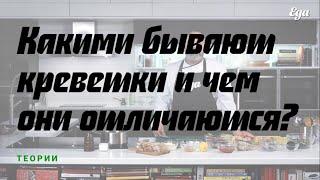 Какими бывают креветки и чем они отличаются?