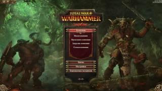 WARHAMMER TW - Выбор фракции