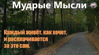 Интересные Цитаты И Афоризмы Про Жизнь | Самые Лучшие Фразы