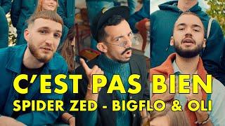 Spider ZED, Bigflo & Oli - C'est pas bien (Clip)