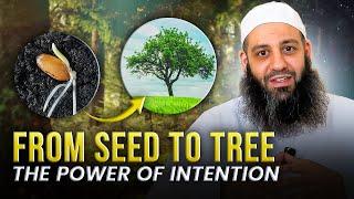 From Seed To Tree, The Power Of Intentions | Abu Bakr Zoud