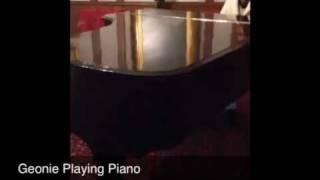 Geonie Playing Baby Grand Piano