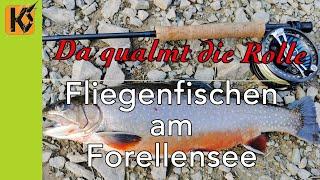 Fliegenfischen am Forellensee - Mit der Fliege zum Erfolg beim Forellenangeln