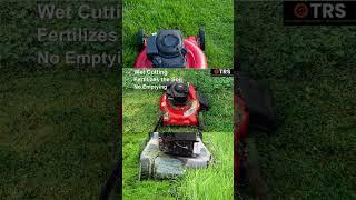 Grass Mulching - Pros &  Cons