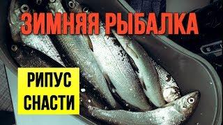 Зимняя рыбалка Рипус Какие снасти взять с собой на рыбалку