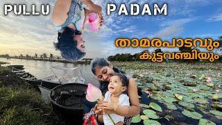 Pullu Padam Thrissur | Lotus garden | Tourist spot in Thrissur |