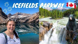 Exploring The Stunning Icefields Parkway In Banff: A Must-see Adventure!