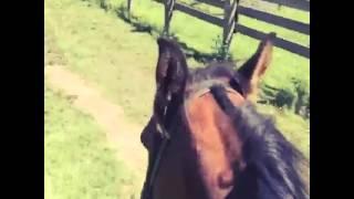 Danielle campbell - riding a horse