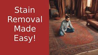 Mastering Rug Stain Removal: Tips from Your Rug Guru at Rugman.com!