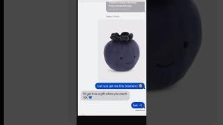 the Jellycat girlies get it #jellycats #jellycatcollection #blueberry