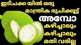 വീണ്ടും വീണ്ടും ചോദിച്ചു വാങ്ങി കഴിക്കും ഇടിച്ചക്ക ഇതുപോലെ ഒന്ന് തയ്യാറാക്കി/Special Odichakka .