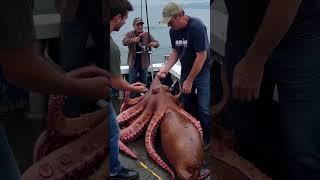 Massive AI-Created Sea Monsters Discovered Beneath the Waves - Sea Monster