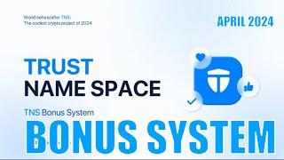 TNS: bonus system of the launchpad and the auction of names