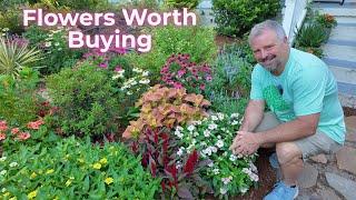 Top Annual Flowers Worth Every Penny This Season!